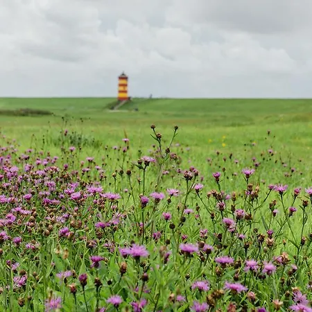 Chalet Camping Am Deich Gmbh & Co. Kg *