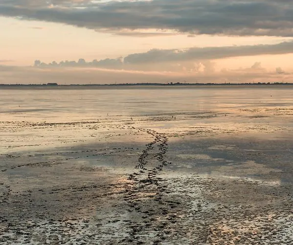 Camping Am Deich Gmbh & Co. Kg Chalet Krummhörn